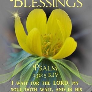 Meet your Posher, Cat